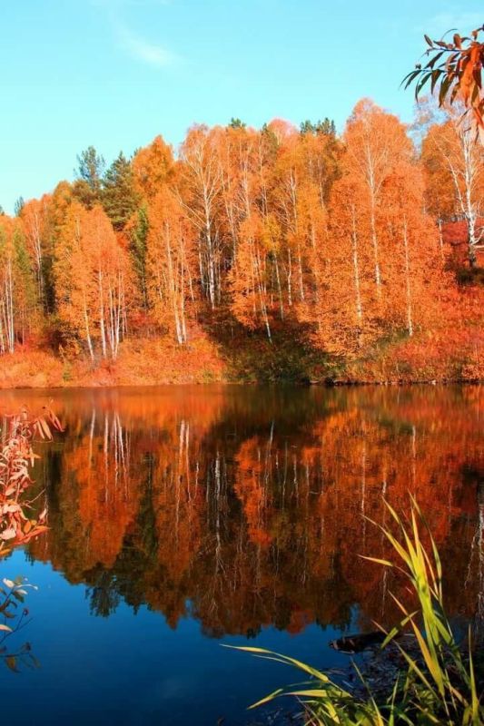 ������ ���