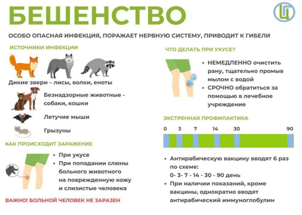 ����� ���, ��� � �������� ������������� ���������� �������������� ������ �����������