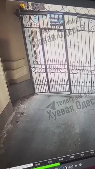 �� ������� ������������ �������������� "�����������" �������� ���������