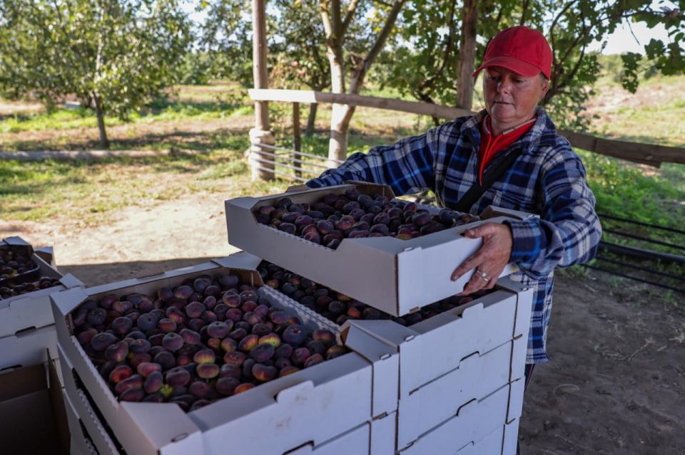 � ���������� ������� �������� ������ ������