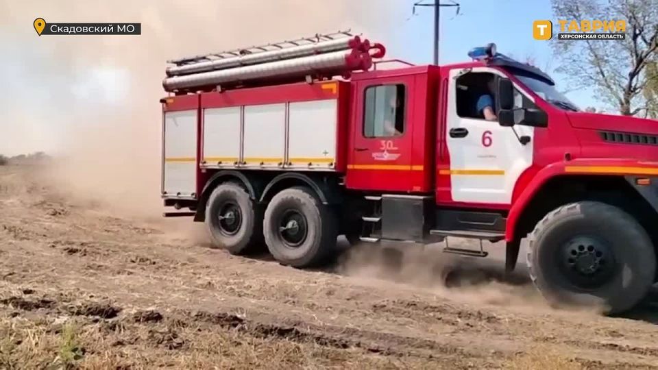 В Скадовском округе ликвидируют природный пожар