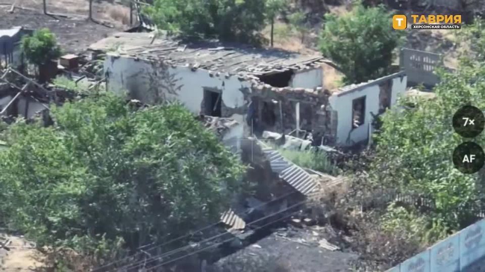 ������ ������� ���� ��������� ������ ������ ��� �� ������ ������ ������