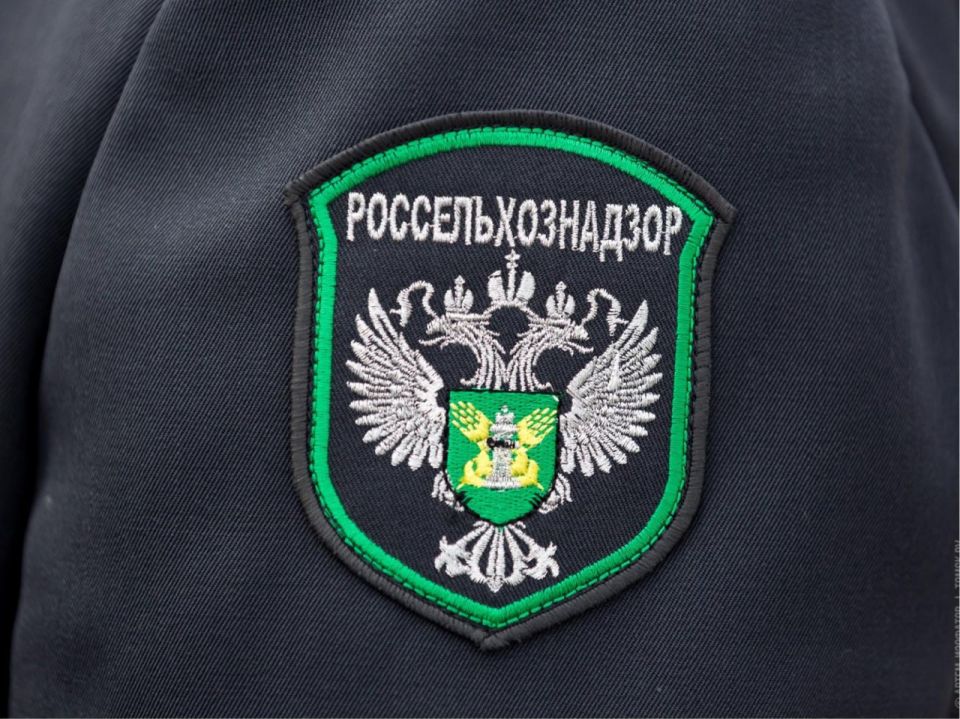 ���������������� ������ ��������� � ����������� ��������� �� �������� ��������� ��������