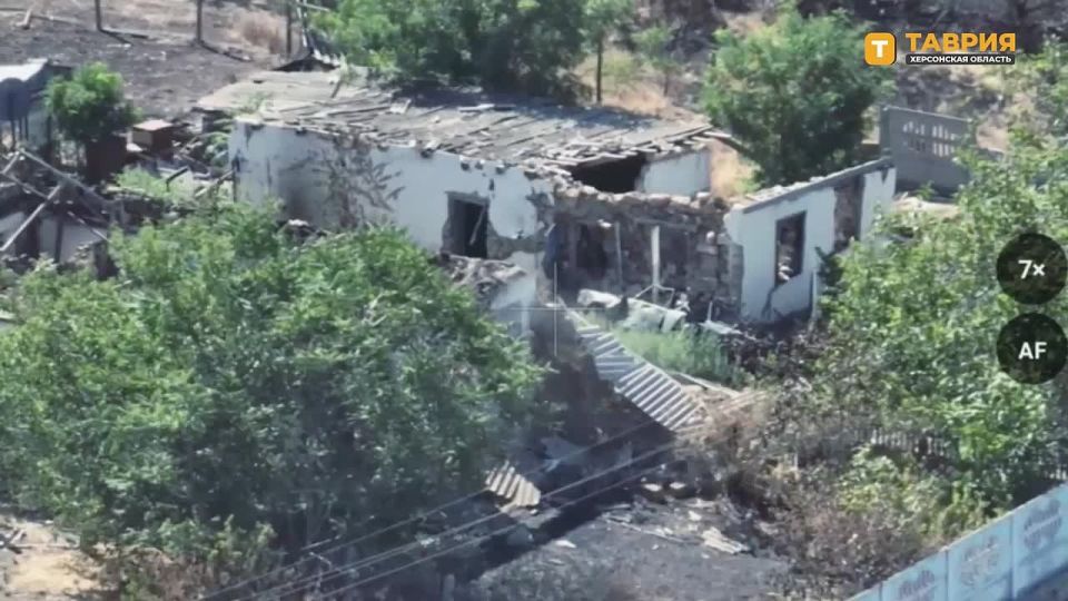 ������ ������� ���� 49-� ����� ����������� ����� "�����" ��������� ������ ������ ��� �� ���������� �����������