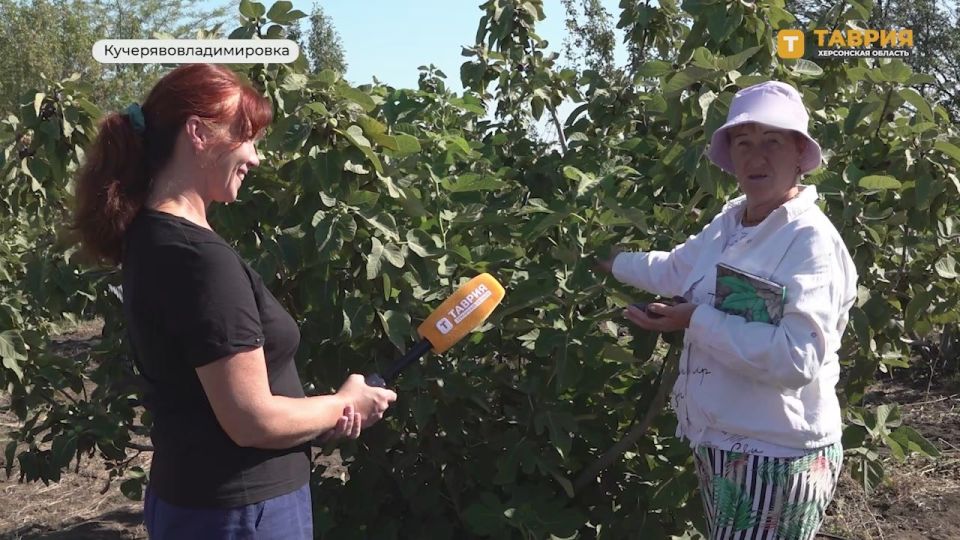 � ����� �� �������� ����������� ������ ��������� �������� �� 700 �� ������