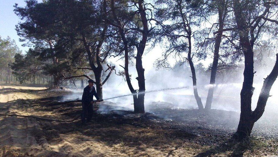 � ���������� ������� ������������ ������� ���� ��������� �������