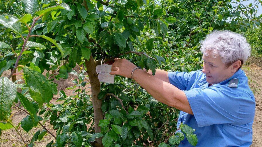 � ���������� ������� ������� ����� 2 ���