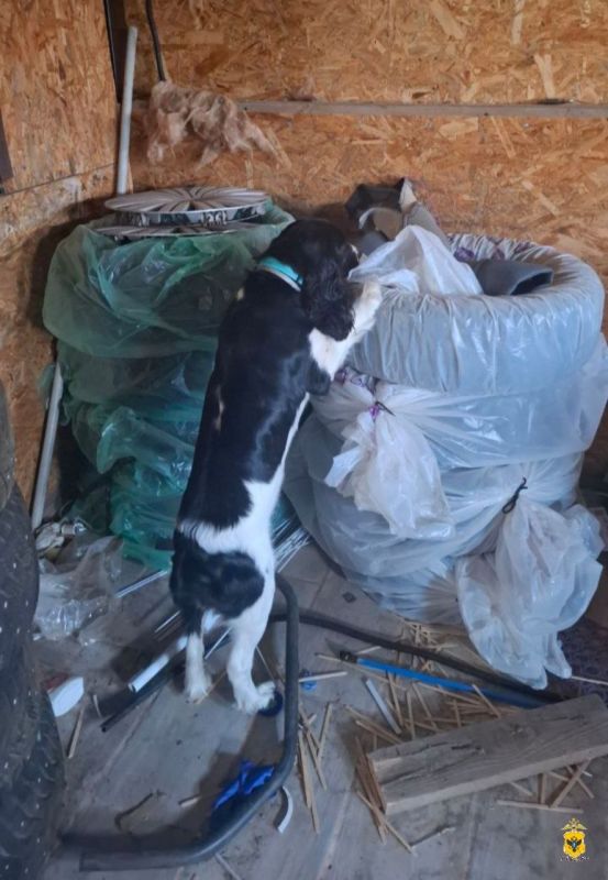 ���������� ��� � �������� ���������� 45 ������ ������� � 32-������� ������ ���� �������