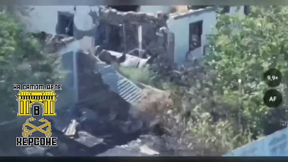 ���������� ������� ��� �� ������ ������!