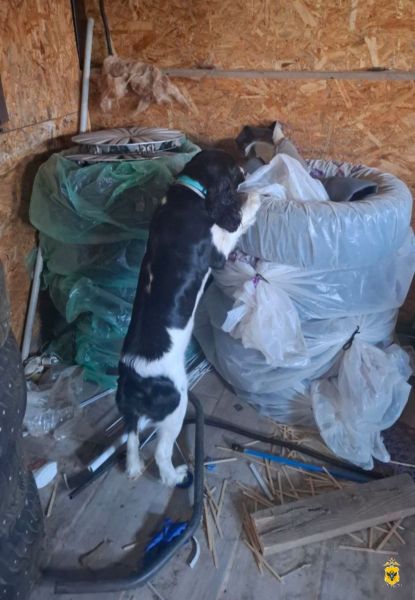 � ���������� ������� ���������� ������� ������ 45 ������ ������� � ������ ������������� ������