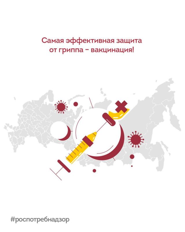 ����� ����������� ������ �� ������ - ����������