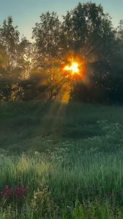 ������� �������: - � ��� �������?. ������� ��������� �������� ����� ����