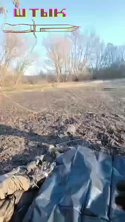 ���� ������� ���������.. ��������-����� ���������� �������