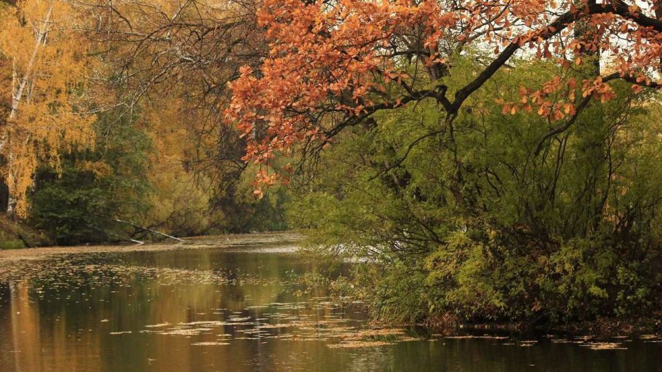 �� ��� ������ � ����� ������ , ������ ����� , � ����� ��� . �� ������� �� ���� ������� , ������ �� ���� , �����