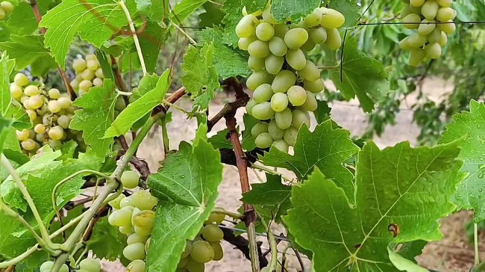 ������ ����, ������ ���������� �������������� ������!