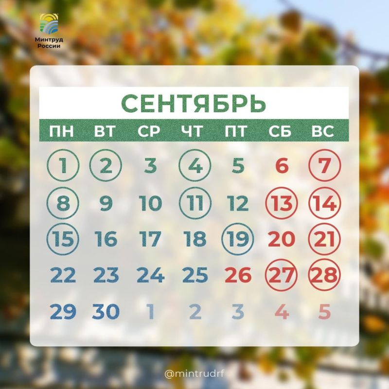 ���������������� ��������� �������� � � ������� #PRO����