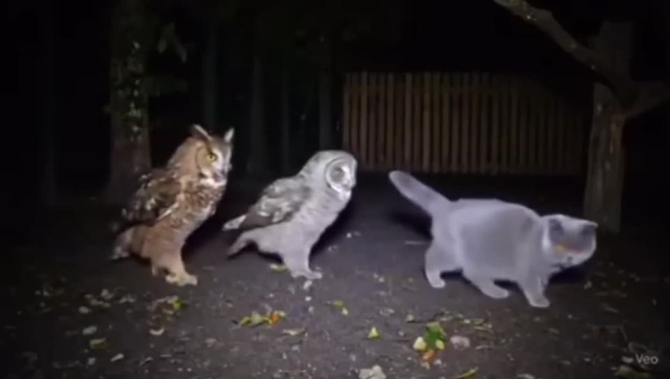 ���� ��, �����, ����� ���������� ������������� � ������-��, ����� �� ������, ����� ��� � ��������� � �������� � ��������� ���� ����