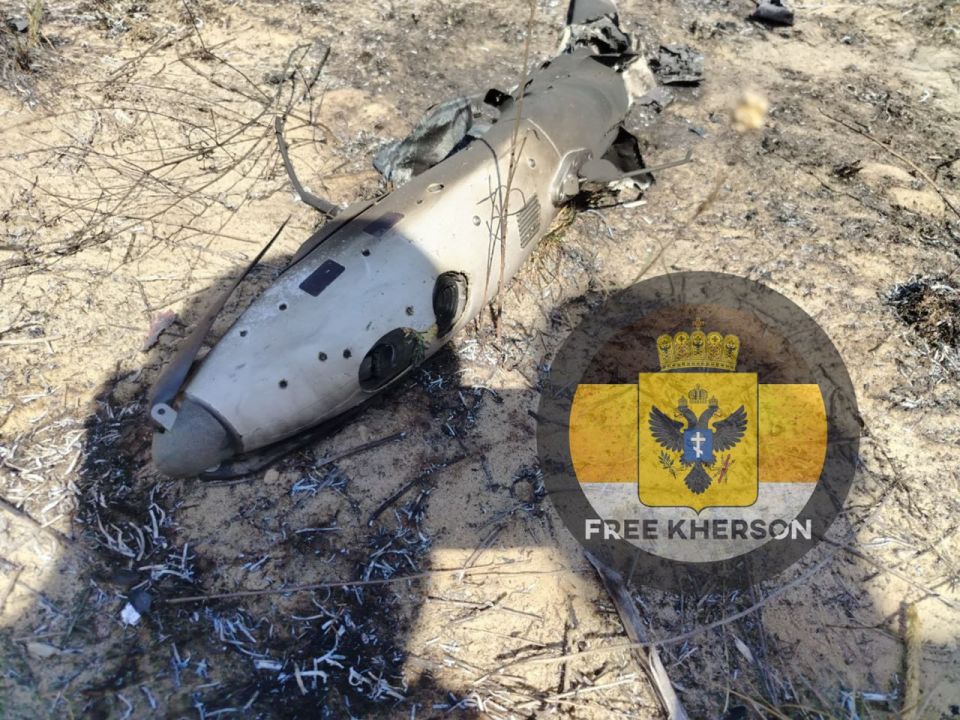 ����� ������������� ��� 49 ����� ����� ���������� ����-��������� "����" �� ���������� �����������