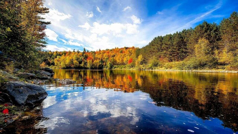 � ���� ��� ������ , �������� , ���������� ����� ������� . ������������ ������� ����� , �������� ������ �������