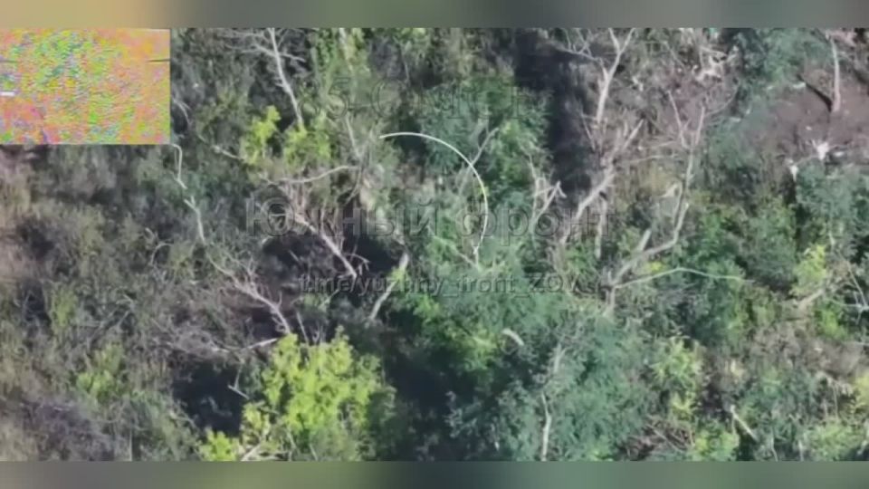 ���������� ������ ���������� �� �������� �����������!