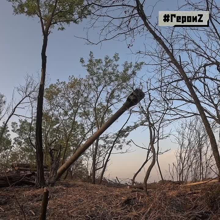 ����� ������� ������ �����-�� � �������� �������� � 2022 ���� �� ���