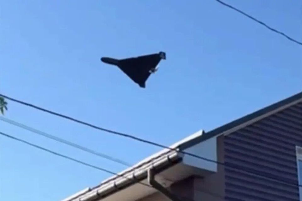 ���� �� �������: � ������������ ������� 30 ����� ������� �������� ��� ����� ����� ������ �����