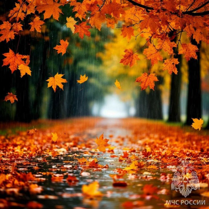 5 ������� ������� ������. ������ ��� ��������! � ��� ������, ��� ���� ��������� ������ ������ ������� ������������ � ������� ������: ������