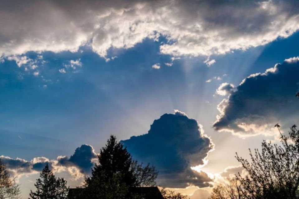 ������� ������ �� 1 ��������