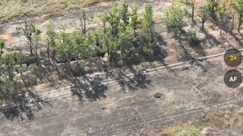 ���� �� �������: FPV-����� ������� ���������� ��������� � ������� ���