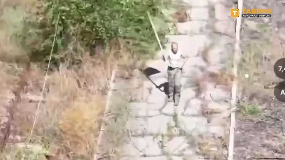 ���������� ������� ����� ������ �������, ������� ������� ������� � ���� �� ������