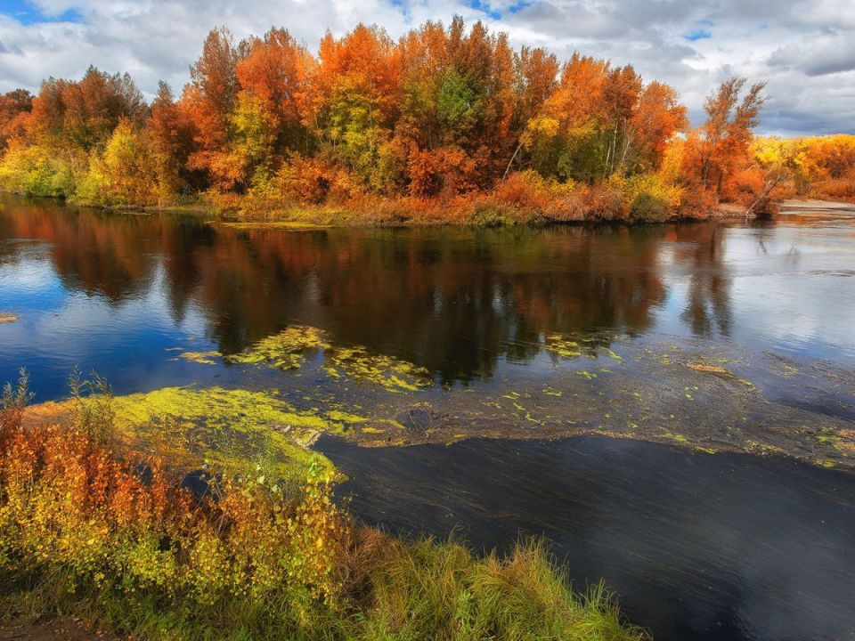 ����� ��������� ����� ������ , ��� ������������ � ���� . �� � ����� ����� ������ ����� , ������ , ������ ��������