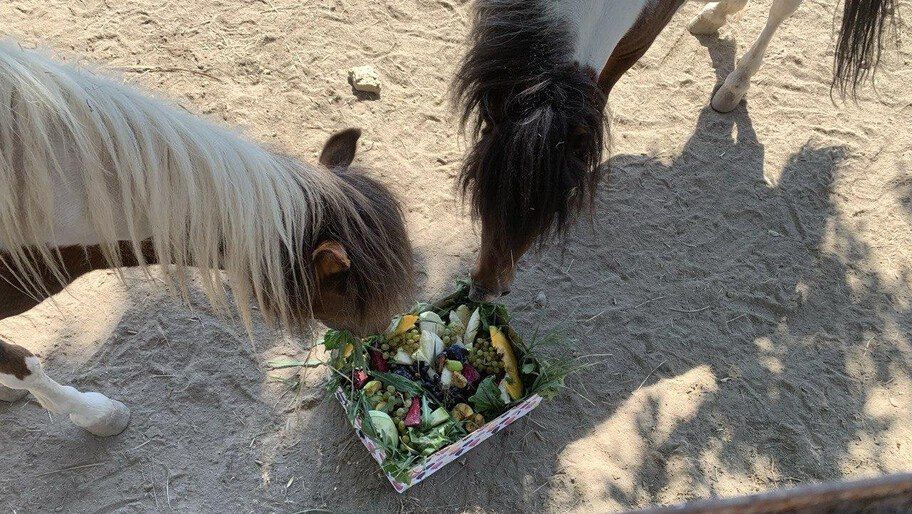 � �������� ���� ������� ������������� ������ � �������