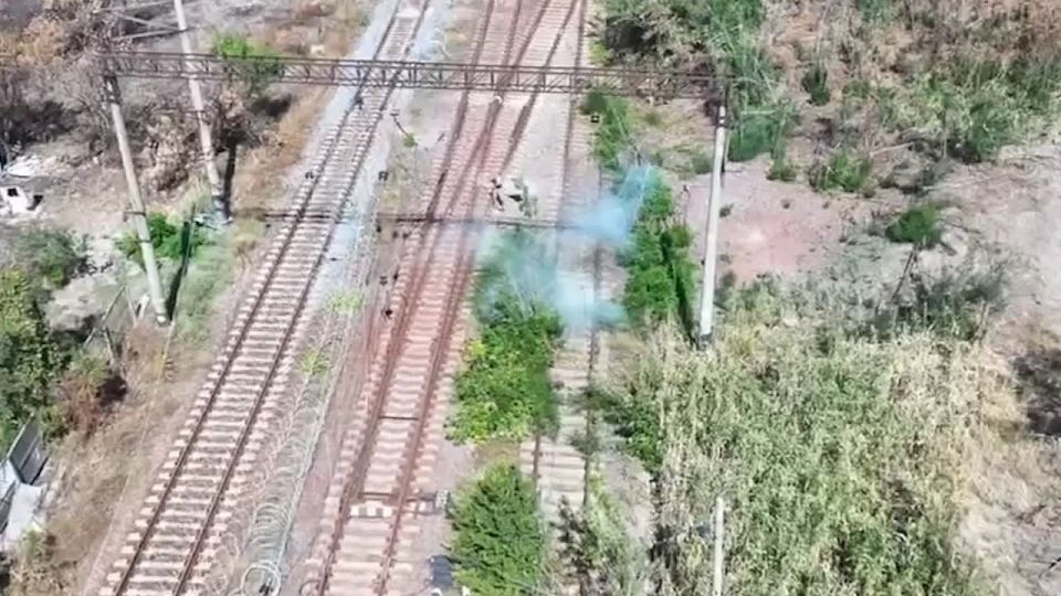 ���� �� �������: ���������� �������� ������ ����������� �������, ��������� ������� ������ � �������