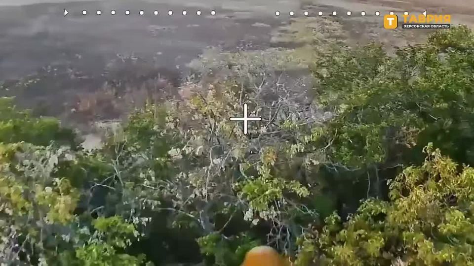 �������������� ����������� ����� "�����" ���������� ���������� ��� � ������ �������� � ������