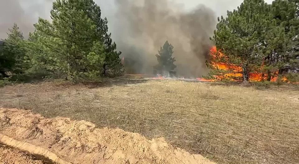 73 ������ ������ �������� � ��������������� ������� � �������