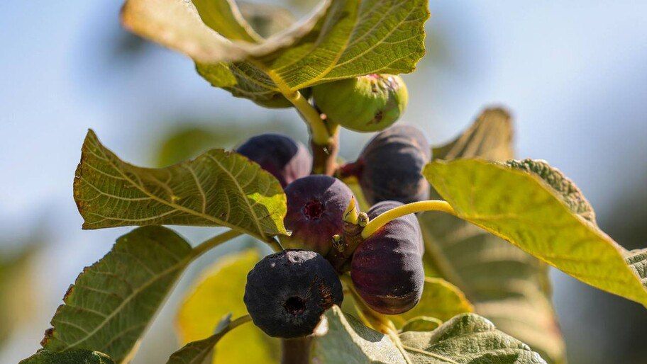 � ���������� ������� ������� ������ ������ ������