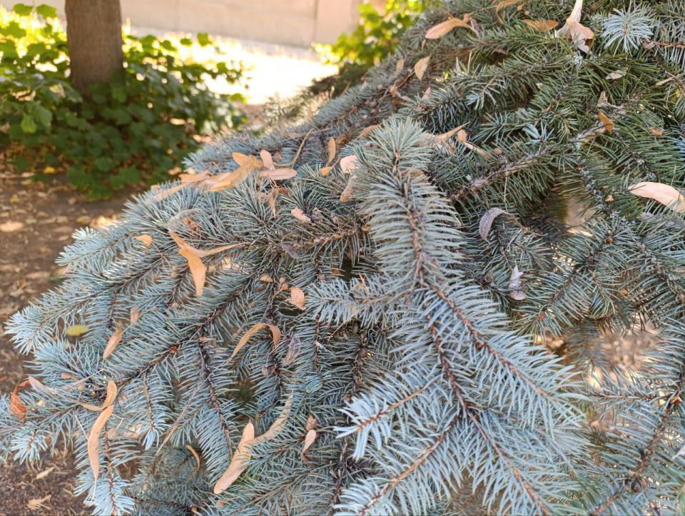 ������ ����, ������ ���������� ������!