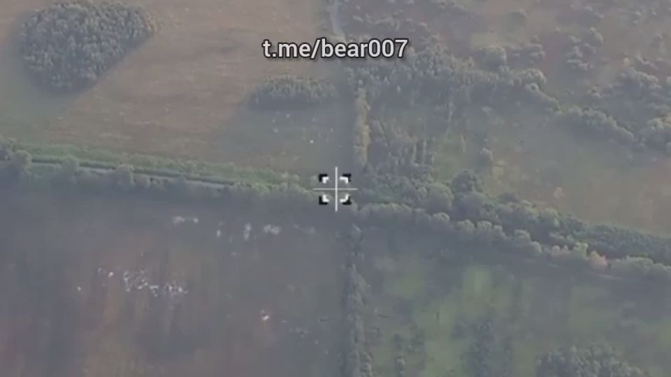 ����� "�����" �������� �������� ���� ������� � ������������ �������� �� ���������� ��������: