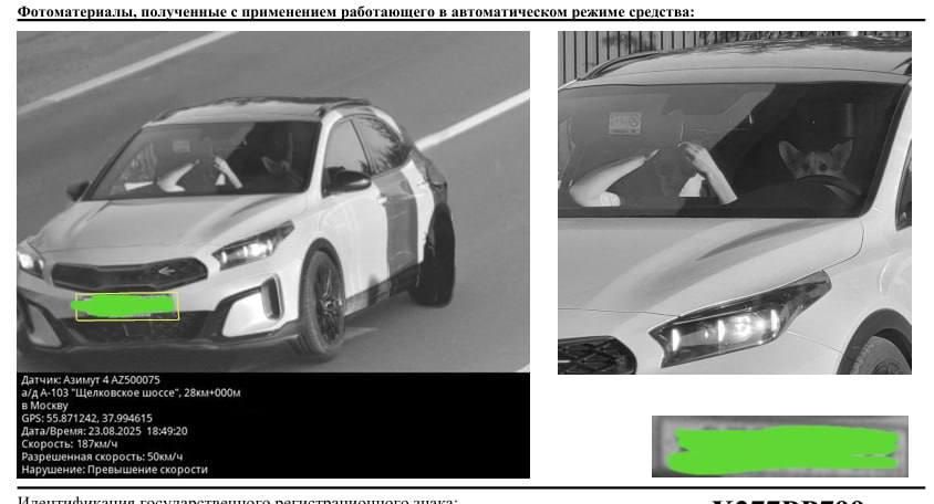 ������ ������������� �� ���� �������� �������