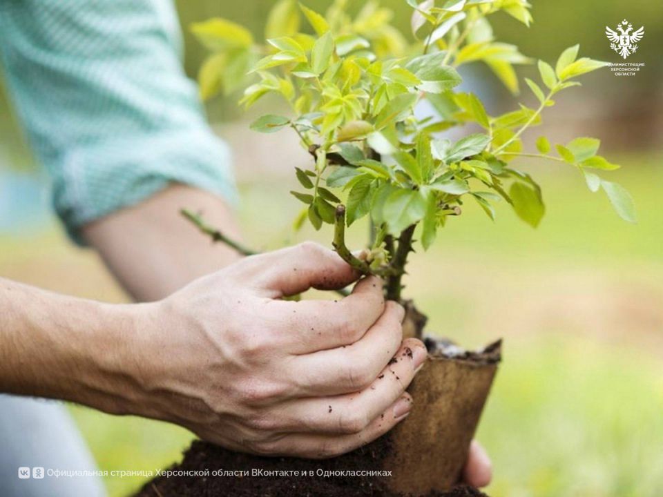 ������ � ������������ �������� ������� ����� 160 ����� ��������