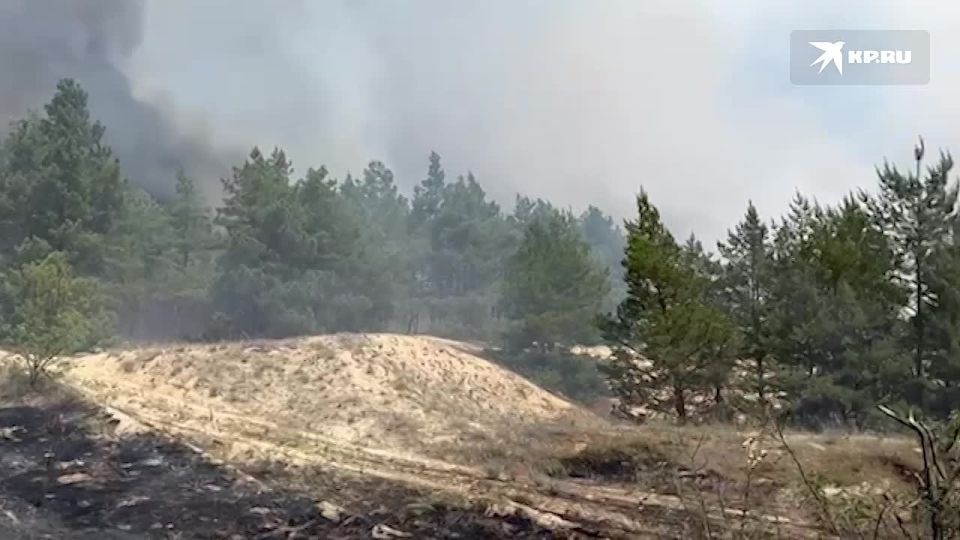 ����� ��� ������� ��� ��������, �������� ������ � ��������������� �������