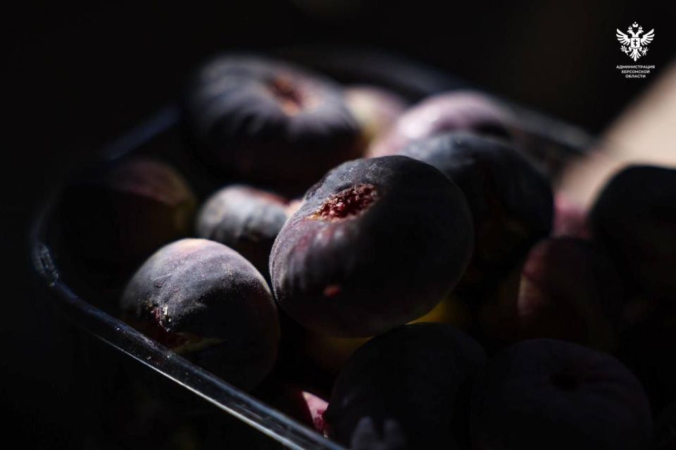 � ���������� ������� �������� ������ ������ ������