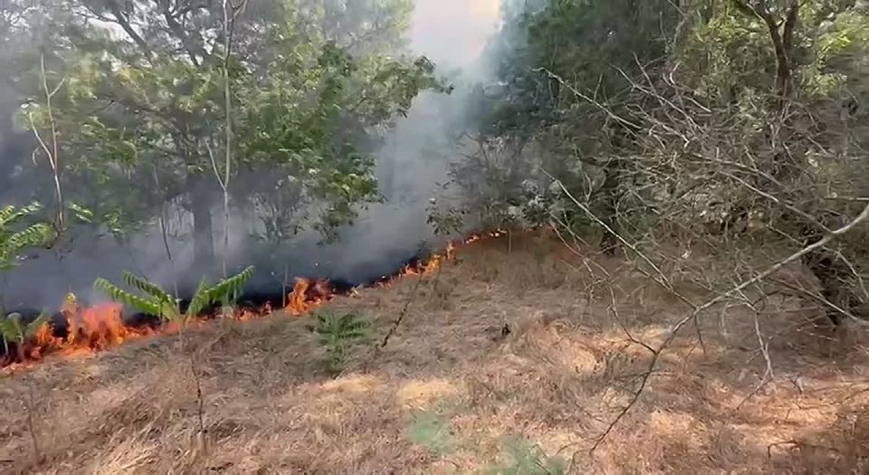 73 ������ ������ �������� � ��������������� ������� � �������