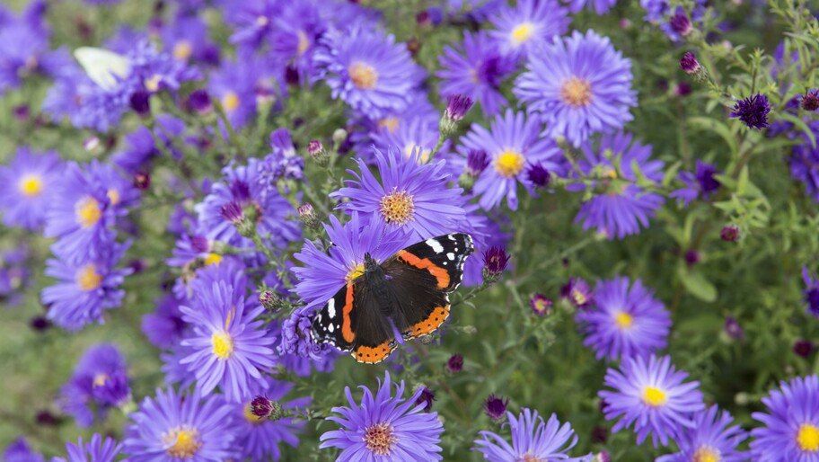 �������� ������� ����� ������� ����� ��� �������� ����