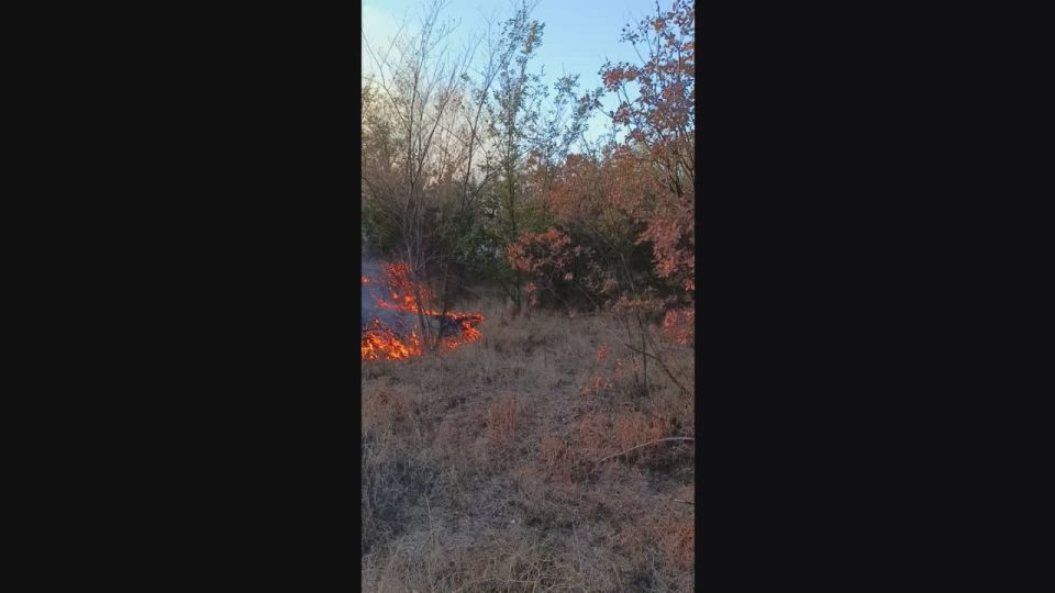 ���������� ����������� ������� �������� ������� �����