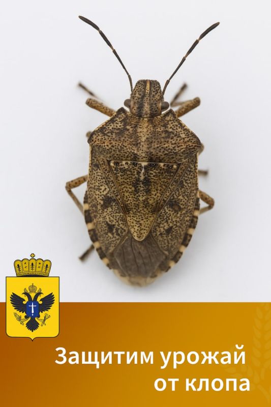 ��������� ������� � ��������� �������������������� �����������!