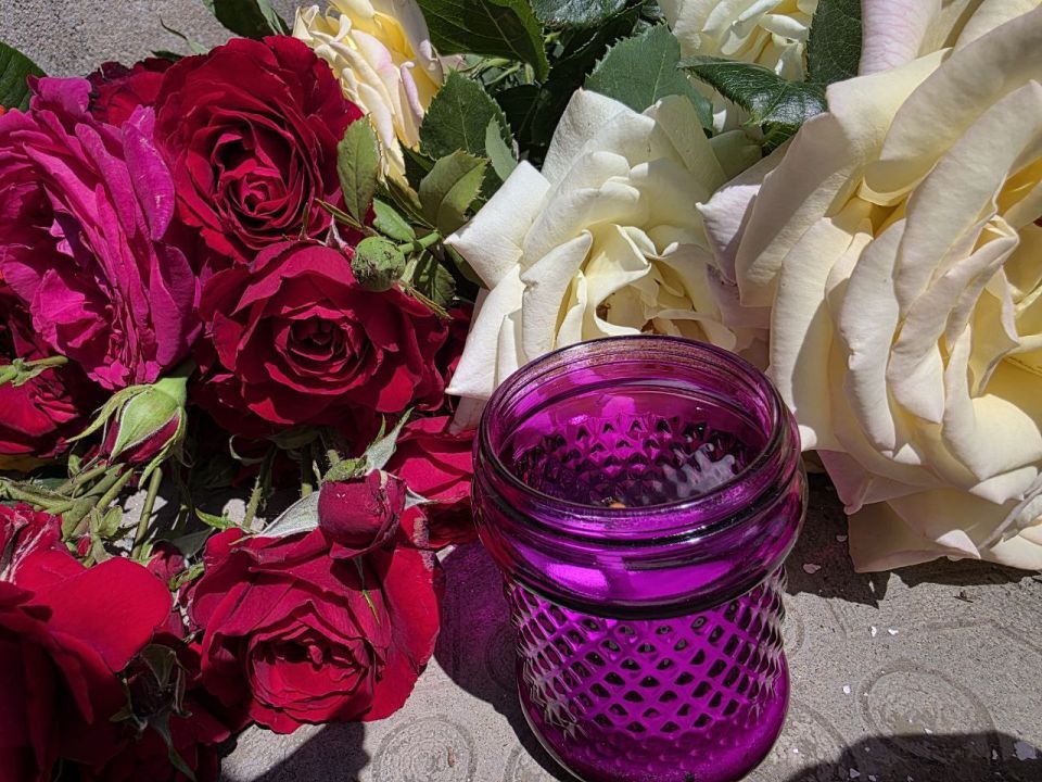 ������ ������������ ������ ������� ������ ����� ����������������� ���� � �������