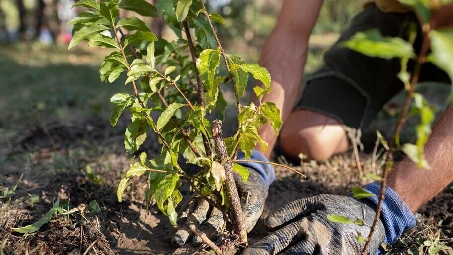 ����� 160 ����� �������� ������� ������ � ���������� � ��������