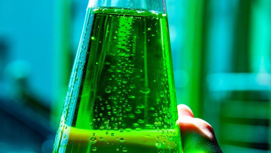 ���� ������ ����� ������� �������� ��� �����