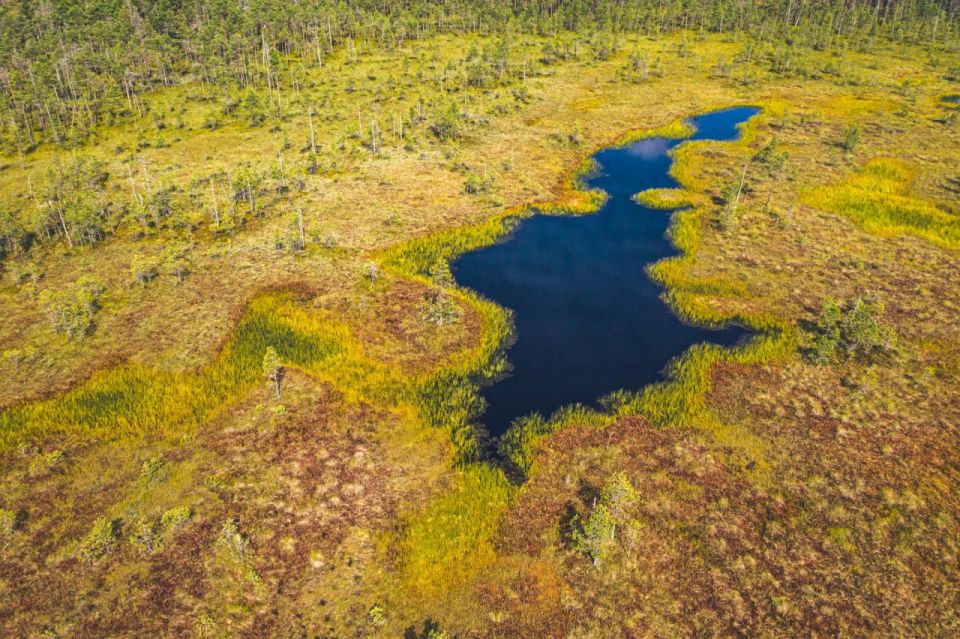 ��������� ������ �������� ���� �� ������ ������������� ���� � �� �������������